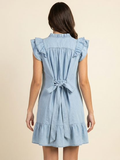 Chambray Ruffled Dress — back
